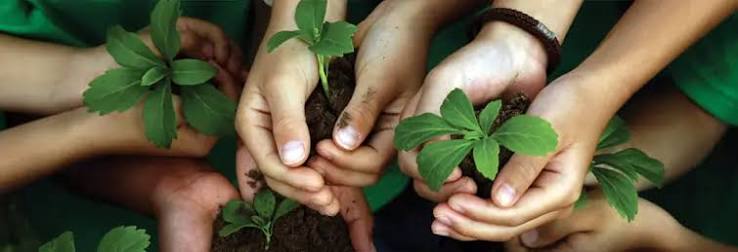 Environmental Protection